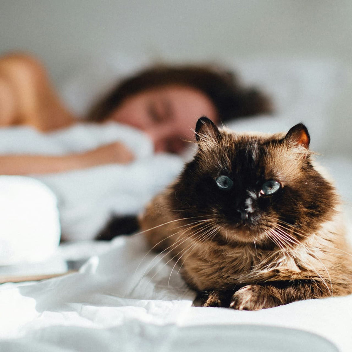 Should I Consider Hormone Therapy to Improve Sleep?