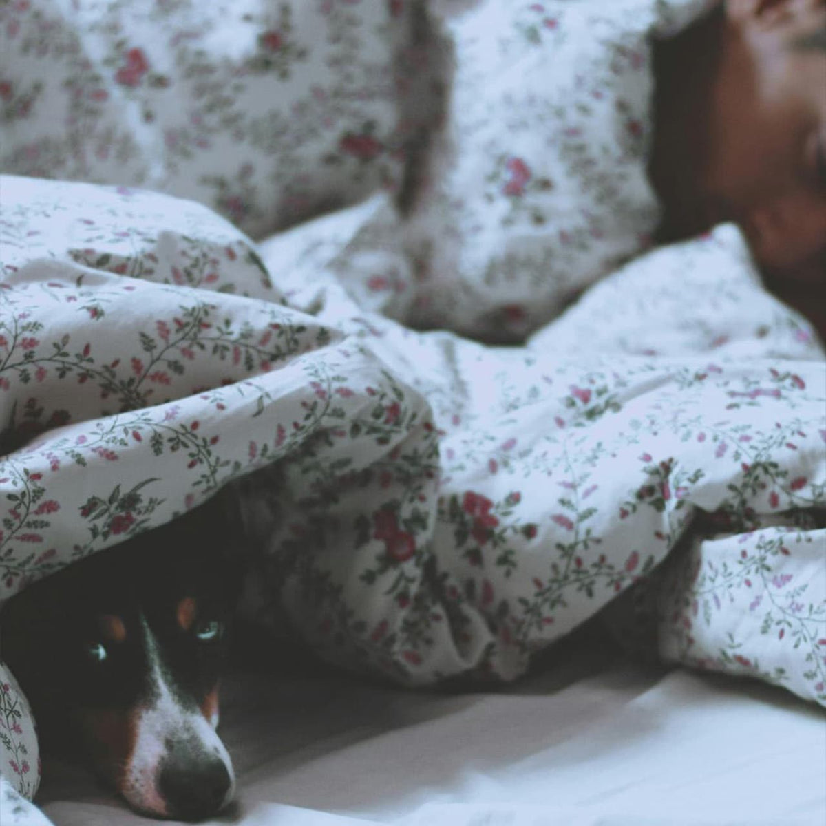 Why Do People Snore? Causes, Remedies, and When to Worry